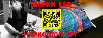 шишки Бузулук