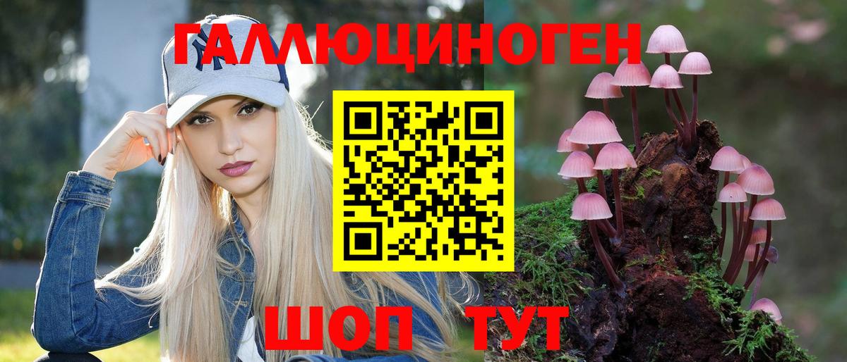 Галлюциногенные грибы Psilocybe Красногорск