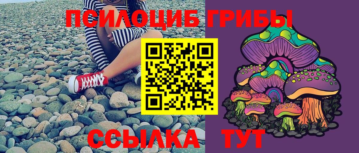 Галлюциногенные грибы GOLDEN TEACHER  Вход с VPN  Красногорск 